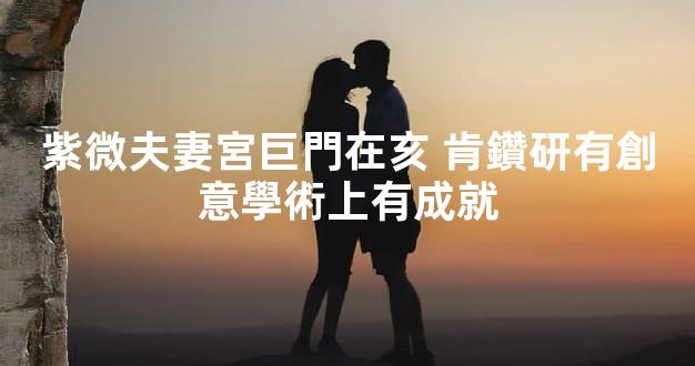 紫微夫妻宮巨門在亥 肯鑽研有創意學術上有成就